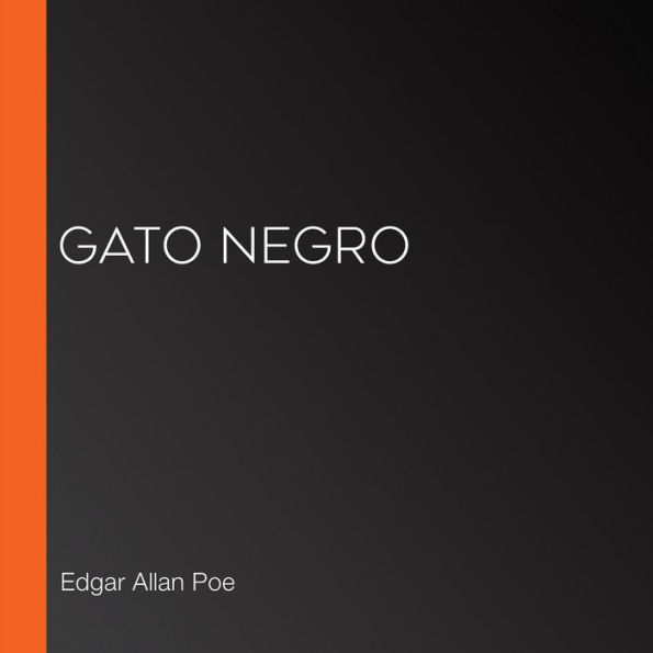 Gato negro