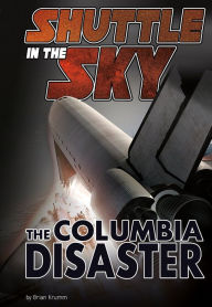 Shuttle In the Sky: The Columbia Disaster