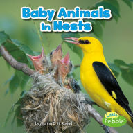 Baby Animals in Nests