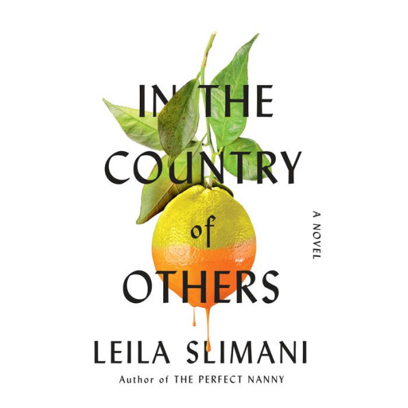 In the Country of Others: A Novel