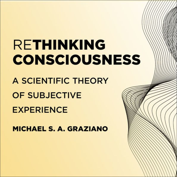 Rethinking Consciousness: A Scientific Theory of Subjective Experience