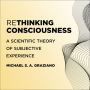 Rethinking Consciousness: A Scientific Theory of Subjective Experience