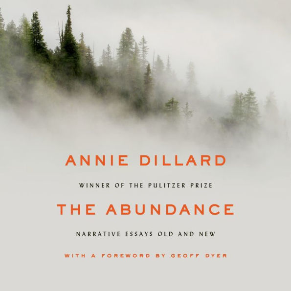 The Abundance: Narrative Essays Old and New