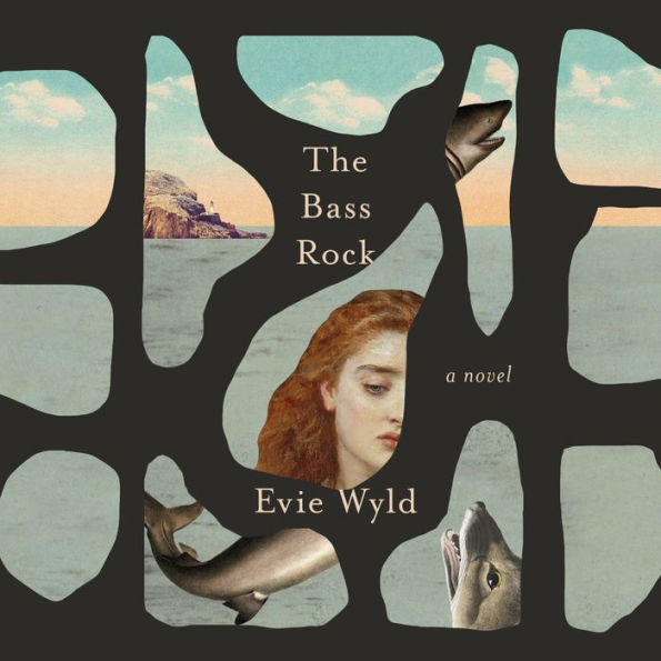 The Bass Rock: A Novel
