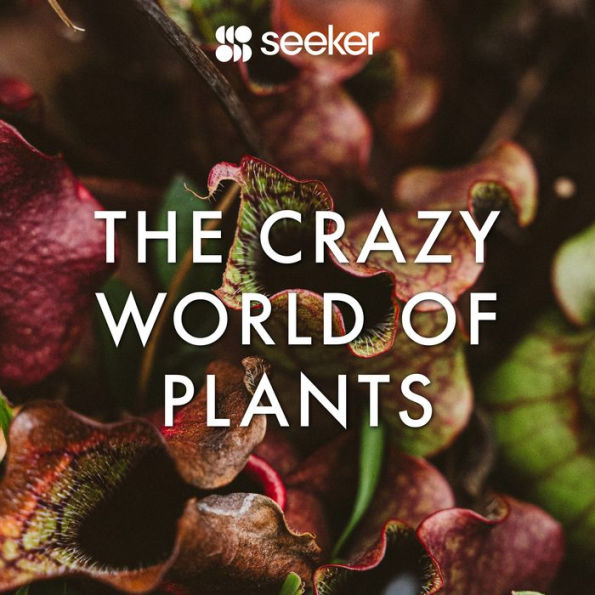 The Crazy World of Plants