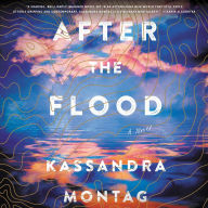 After the Flood: A Novel