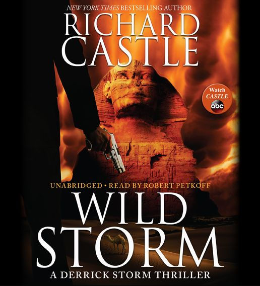 Wild Storm: A Derrick Storm Thriller