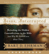 Jesus, Interrupted