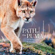 Path of the Puma: The Remarkable Resilience of the Mountain Lion