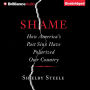 Shame: How America's Past Sins Have Polarized Our Country