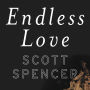 Endless Love: A Novel