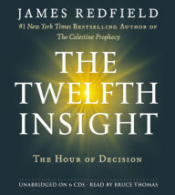 The Twelfth Insight: The Hour of Decision