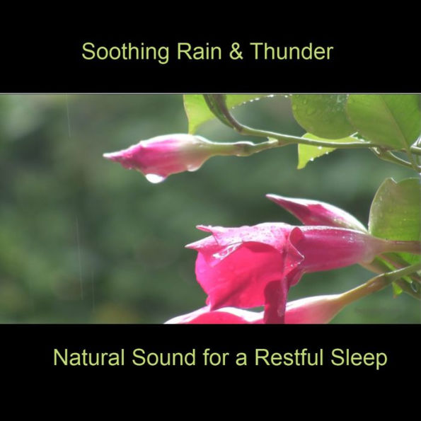 Soothing Rain & Thunder