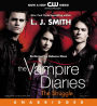 The Struggle (Vampire Diaries Series #2)