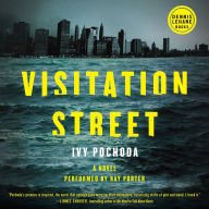 Visitation Street: A Gripping New York Mystery