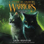 The Raging Storm (Warriors: A Vision of Shadows Series #6)