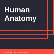 Human Anatomy