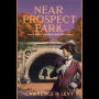 Near Prospect Park: A Mary Handley Mystery