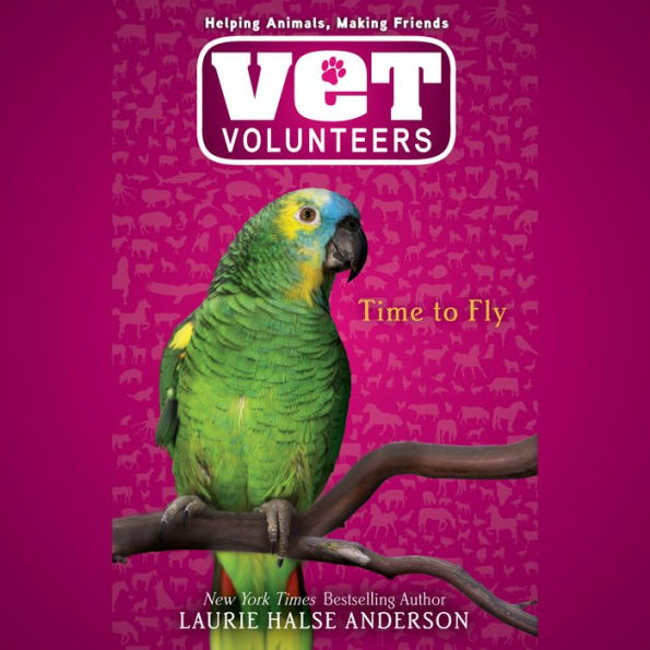 Vet Volunteers: Time to Fly