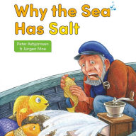 Why the Sea Has Salt