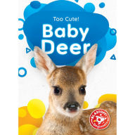 Baby Deer