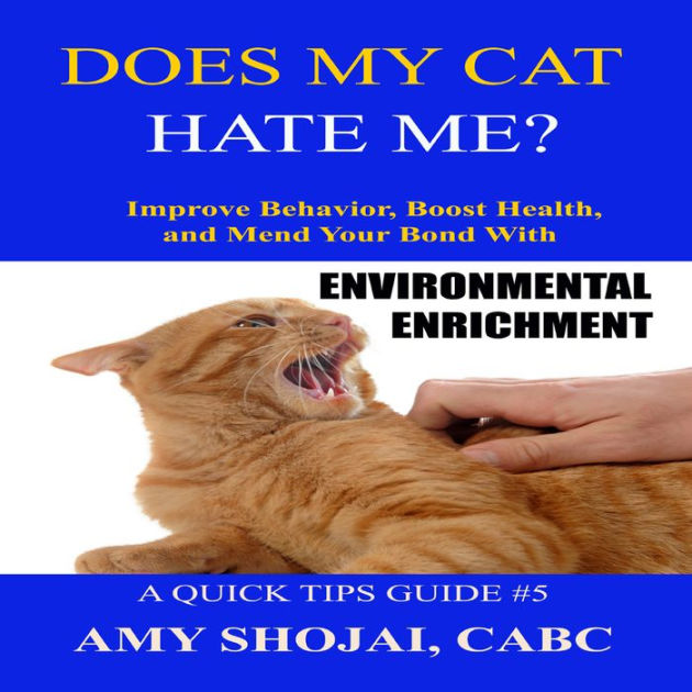 Does My Cat Hate Me? Improve Behavior, Boost Health, and Mend Your