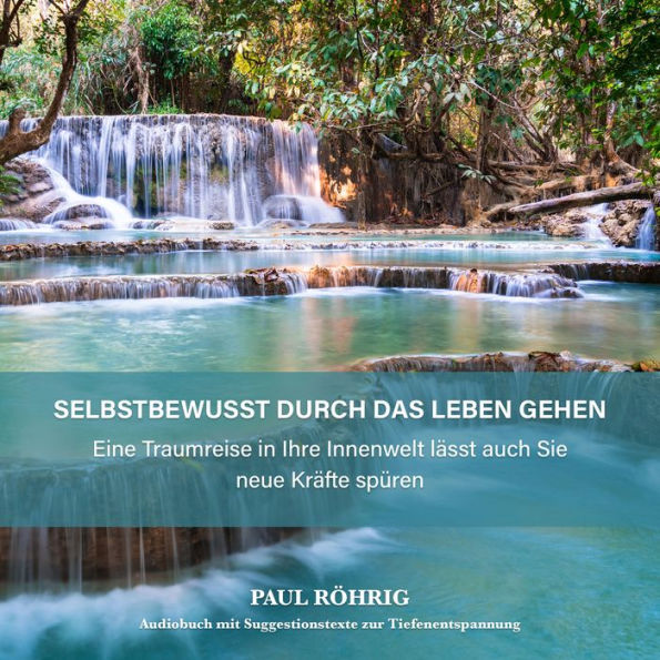 Selbstbewusst durch das Leben gehen.: Eine Traumreise in Ihre Innenwelt lässt auch Sie neue Kräfte spüren