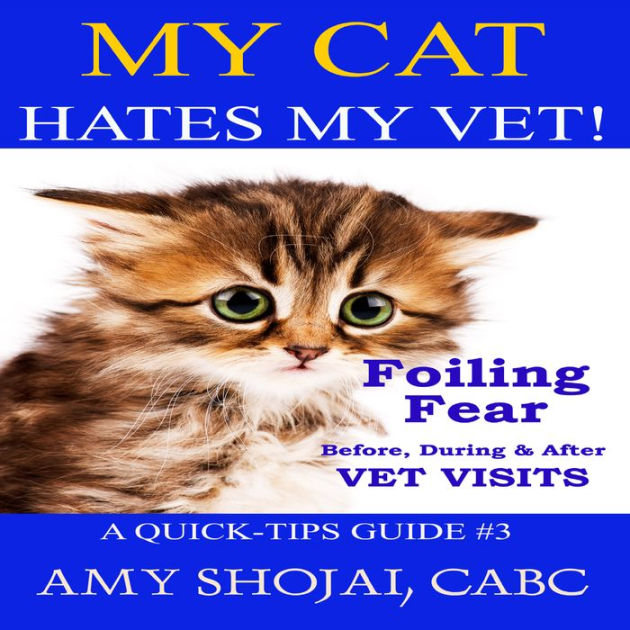 My Cat Hates My Vet! Foiling Fear Before, During & After Vet Visits