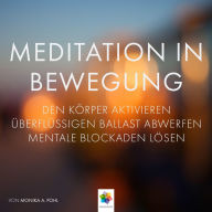 Meditation in Bewegung * Den Körper aktivieren, überflüssigen Ballast abwerfen mentale Blockaden auflösen, in Ruhe und Stille eintauchen.