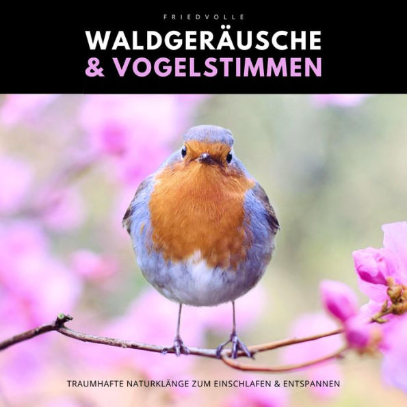 Friedvolle Waldgeräusche & Vogelstimmen: Traumhafte Naturklänge zum Einschlafen und Entspannen