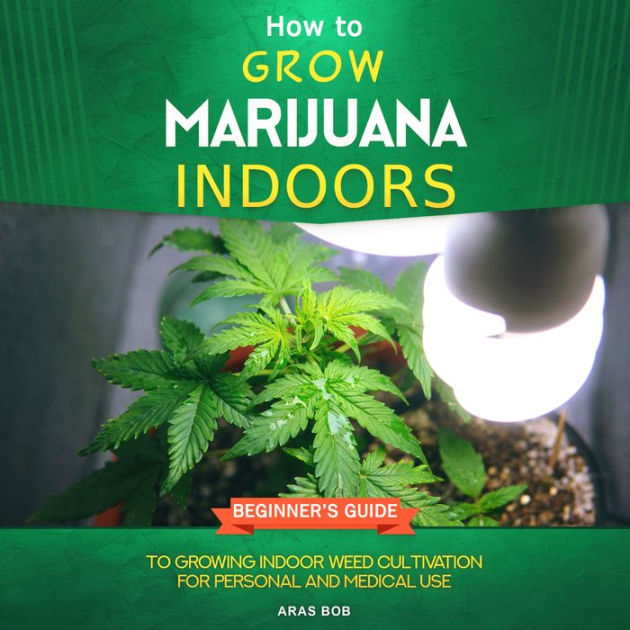 How To Grow Marijuana Indoors: Beginner's Guide To Growing Indoor Weed ...