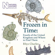 Frozen in Time: Fossils of the United Kingdom and Where to Find Them