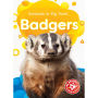 Badgers