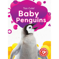 Baby Penguins