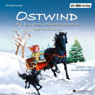 Ostwind. Ein besonderes Weihnachtsgeschenk & Seehunde in Not: Zwei Geschichten