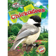 Chickadees