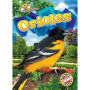 Orioles