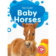 Baby Horses