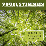 Vogelstimmen im Wald: Sanfte Naturgeräusche zum Einschlafen, Entspannen, Meditieren