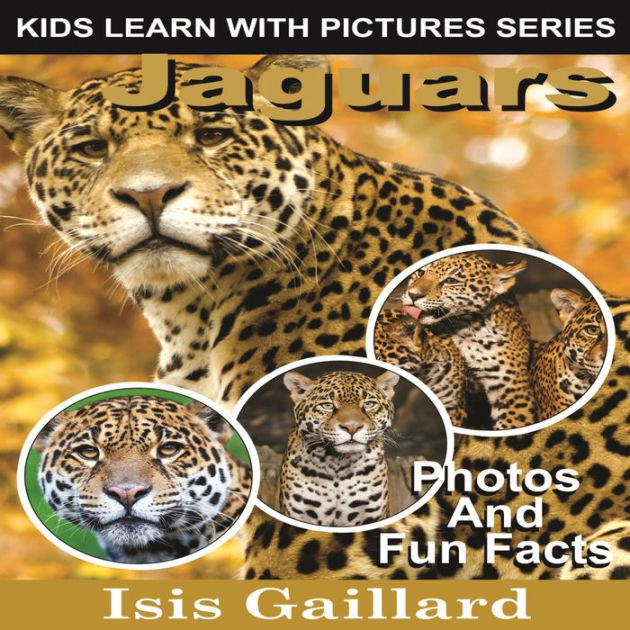 Jaguars: Photos and Fun Facts for Kids by Isis Gaillard, Jessica Caruso |  2940175420570 | Audiobook (Digital) | Barnes & Noble®