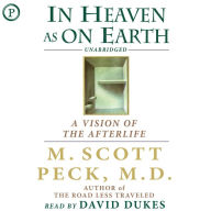 In Heaven as on Earth: A Vision of the Afterlife