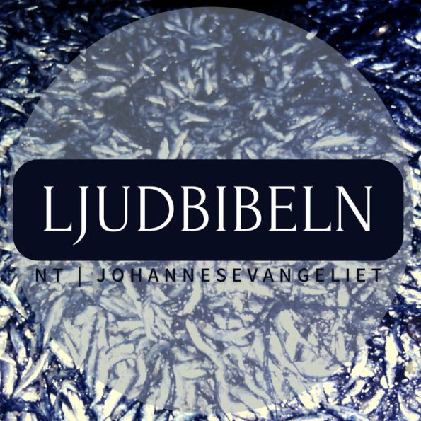 NT Johannesevangeliet: Ljudbibeln