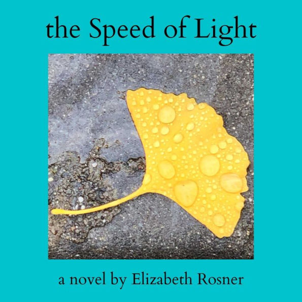 The Speed of Light: A Novel