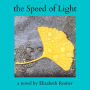 The Speed of Light: A Novel