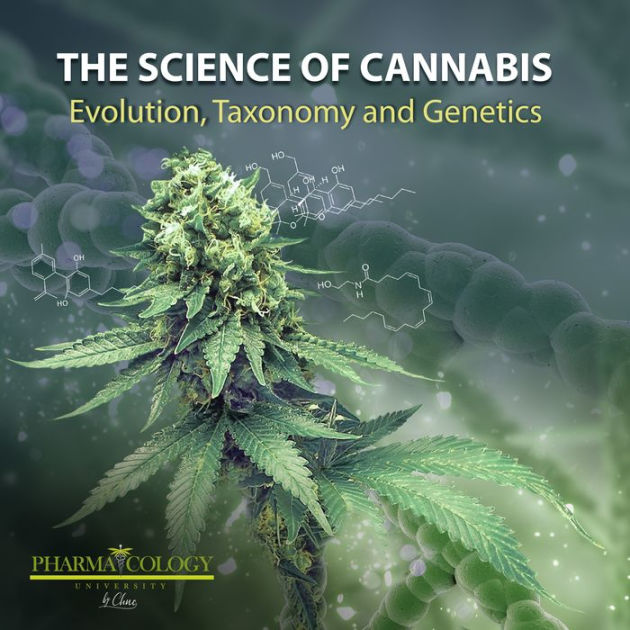 The Science Of Cannabis: Evolution, Taxonomy And Genetics By ...