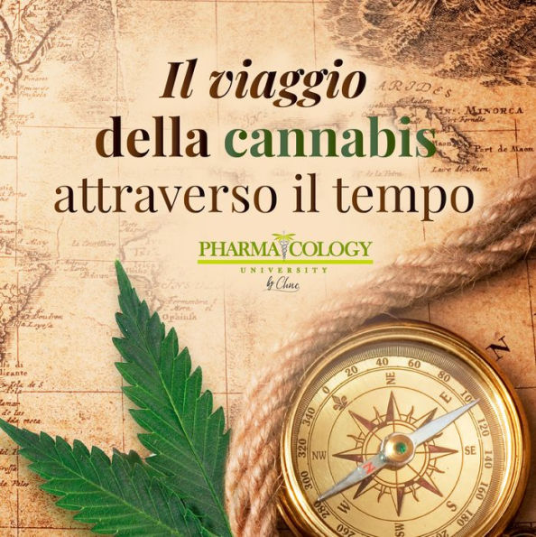 Il viaggio della cannabis attraverso il tempo