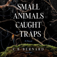 Small Animals Caught in Traps: A Novel