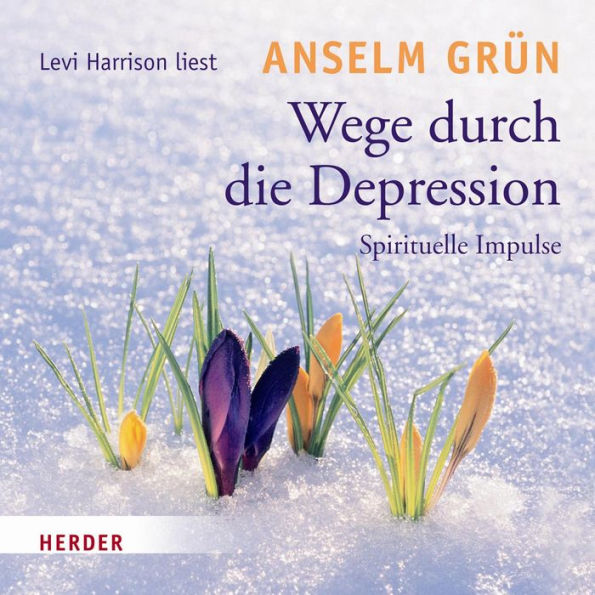 Wege durch die Depression: Spirituelle Impulse (Abridged)