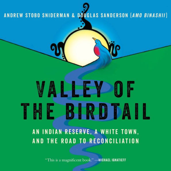 Valley of the Birdtail: An Indian Reserve, a White Town, and the Road to Reconciliation - The Impact of Systemic Racism on Indigenous Peoples