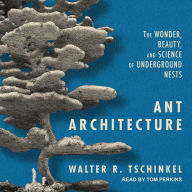 Ant Architecture: The Wonder, Beauty, and Science of Underground Nests
